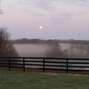 2018 - Full Moon on the Farm