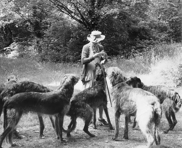 https://bluemoondeerhounds.com/wp-content/uploads/2021/12/Anna-in-1939.jpg