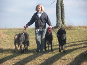 2012 - Walking the Dogs