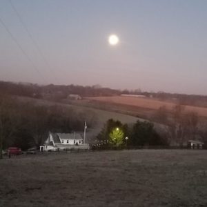 Blue Moon Farm