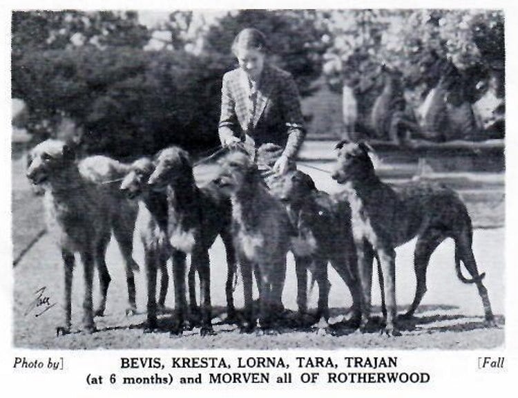 AN Hartley 1946 Dog World Annual